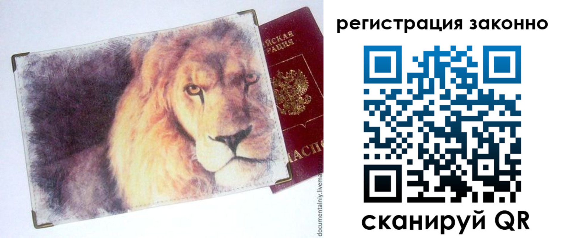 прописка гарантия в Холмске