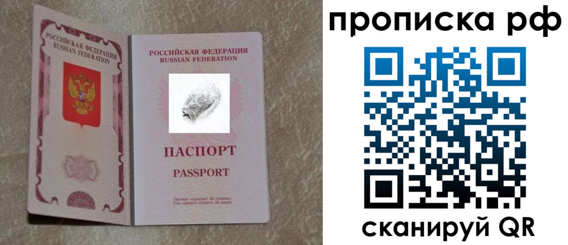 прописка поиск в Холмске